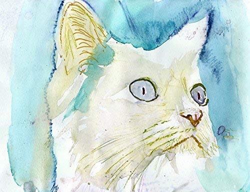 Amazon.com: White Cat Wall Art Print, Colorful Blue Cat Decor, Cute Cat Gift, Cat Owner, Kitten Watercolor Print, Choice Of Sizes Hand Signed By Pet Portrait Artist Oscar Jetson. : Handmade Products