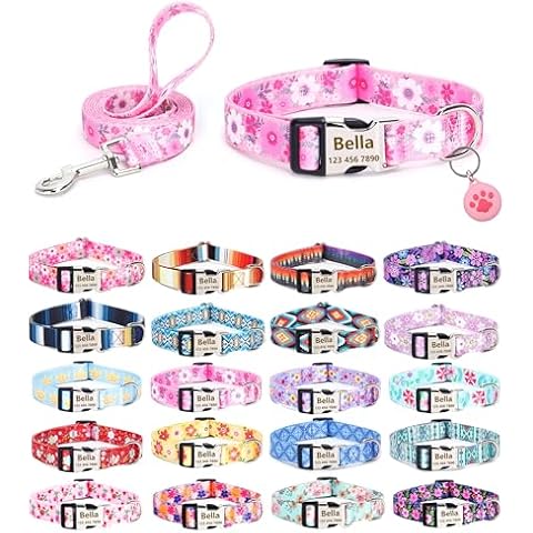 Moonpet Personalized Custom Customized Dog Collars with Leash Airtag Holder Case Set with Engraved ID Name Plate Phone Number for Puppy X-Small Small Medium Large X-Large Boy Girl Dogs Cover