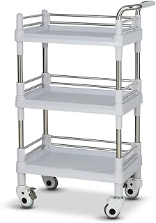 AUNEVN Movable Hand Trucks Kitchen Storage Trolley Mobile Beauty Salon Rolling Trolley,Universal Wheel Spa Hair Styling Cart with Brake,Portable Abs/Grey/Large
