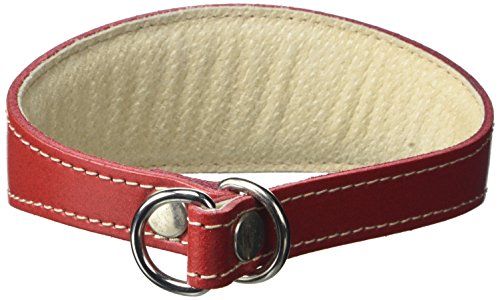 BBD Pet Products Whippet Schlupfhalsband, Einheitsgröße, 1,9 x 30,5 bis 35,6 cm, Rot