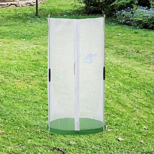 Bothyi Gabinete de Borboleta de Gaiola de Gaiola de Borboleta, 30cmx60cm