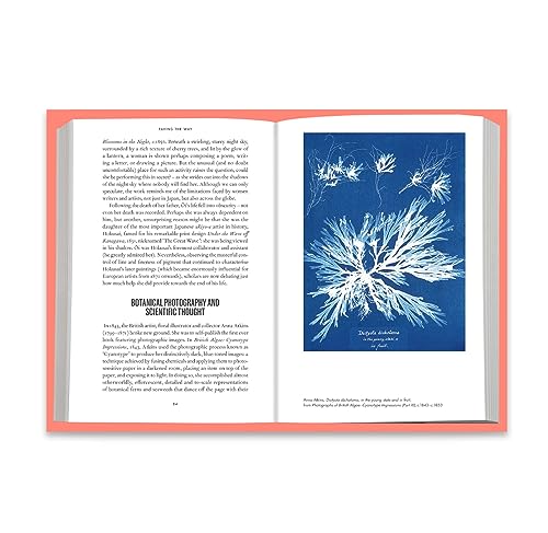 The Story of Art Without Men