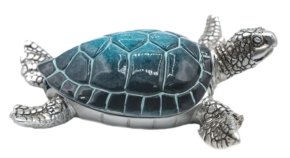 Amazon.co.jp: Nauti ウミガメ 小物入れ ブルータートル シルバー