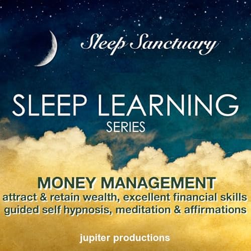 Money Management Audiolivro Por Jupiter Productions capa