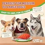 Baba Buddies 5-in-1 Turkey Leg Dog Chew Toy for Aggressive Chewers | Natural rubber & tough nylon hybrid, dental cleaning ridges, real turkey flavor. For Labrador, German Shepherd, Pit Bull - Image 5