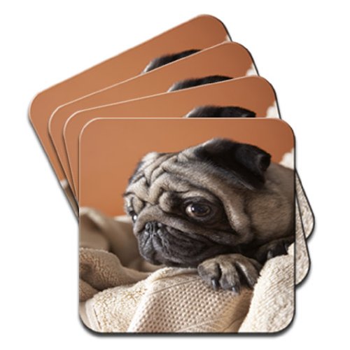 Pug Sitting in Towels Set of 4 Coasters