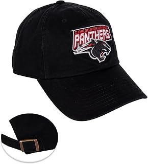Desert Cactus Clark Atlanta University Baseball Hat CAU Panthers Brimmed Embroidered Cap Adjustable Cloth Strap Adult Type A