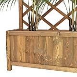 FRANKYSTAR B0D7QJR2PV lato 3