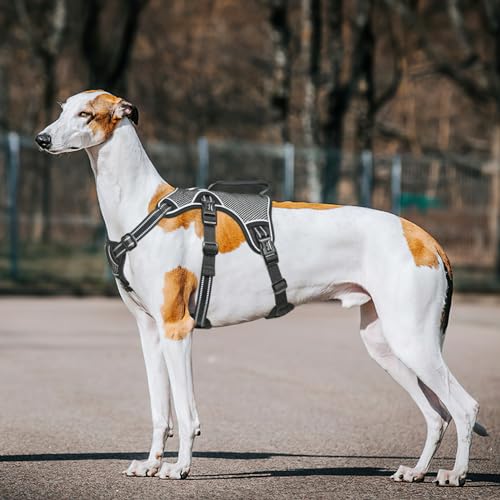 HEELE Arnes para Perros No Escape, Arnes Antitirones Perro Antiescape, Liberación en Cuello, Arnés Totalmente Reflectante con asa Acolchada, Arnés para Perros Grandes y Activos, Negro, XL - imagen 5