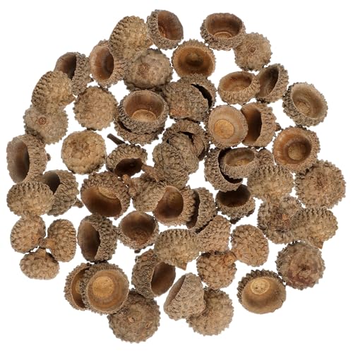 Ciieeo 100 Pcs Acorn Caps