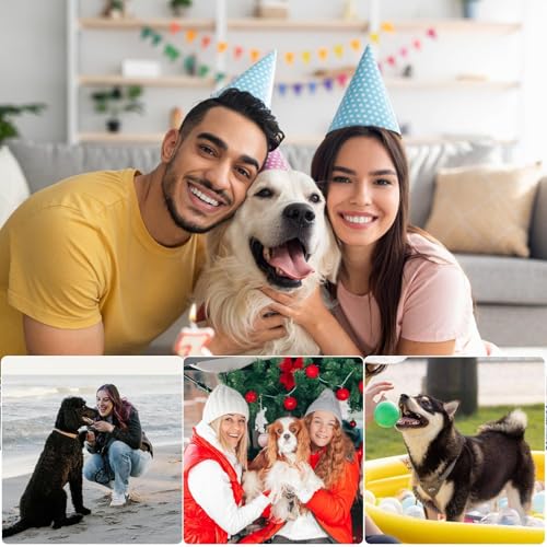 Suéter para cães pequenos, roupas para animais de estimação para cães pequenos,Camisa morna do velo