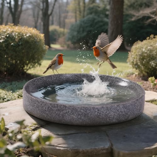 TOWDREU Stone Bird Baths for Outdoors,10inch Birds Bath Bowl with Hanging Accessories,Ground Bird Feeders and Birdbath Bowl, Bird Water Bowl for Balcony, Patio, Garden or Yard
