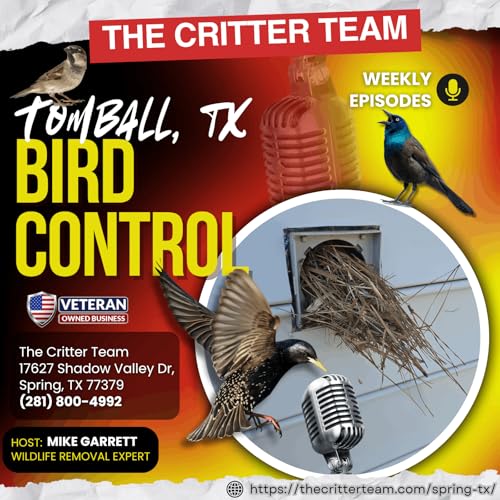 Tomball, TX Bird Control