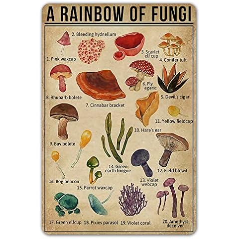SmartCows A Rainbow of Fungi Vintage Tin Sign Mushroom Fungi Knowledge Metal Signs Nature Lover Wall Art Poster Decor 8X12 Inches Cover