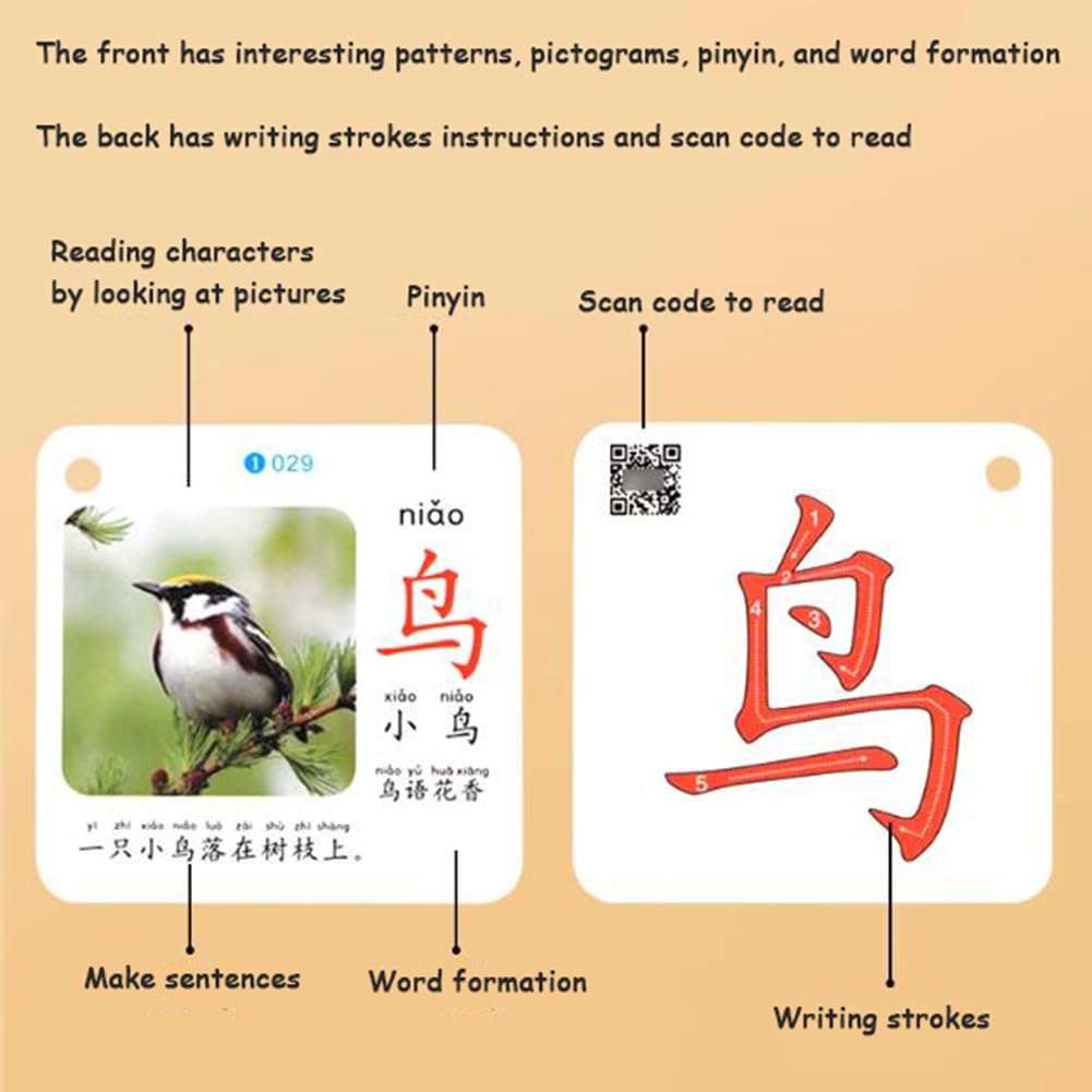 Mandarin Flash Cards Caratteri Cinesi Sight Words Learning Flashcards Mandarin Chinese Pinyin Stroke Fase per Principianti Cinesi