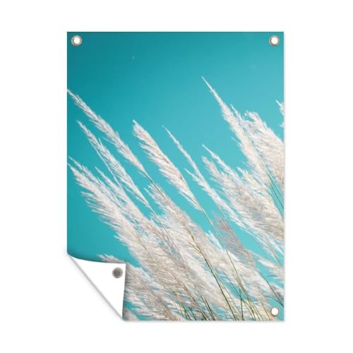 MuchoWow Poster exterieur Herbe de la pampa - Plante Decoration murale 60x80 cm Résistant aux intempéries/soleil