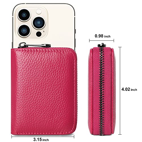 Image of Badiya Genuine Leather RFID Blocking Credit Card Holder Small Card Case Wallet Accordion Zip Coin Purse for Women Men, B-Rose-1, small, Accordion