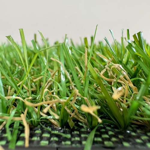 Miniatura 3 de Rollos De Césped Artificial 20mm. Ideal Para Terrazas, Patios, Jardines. Multitud De Formatos Disponibles De Corte. Mod Benidorm 2mx8m 16m2