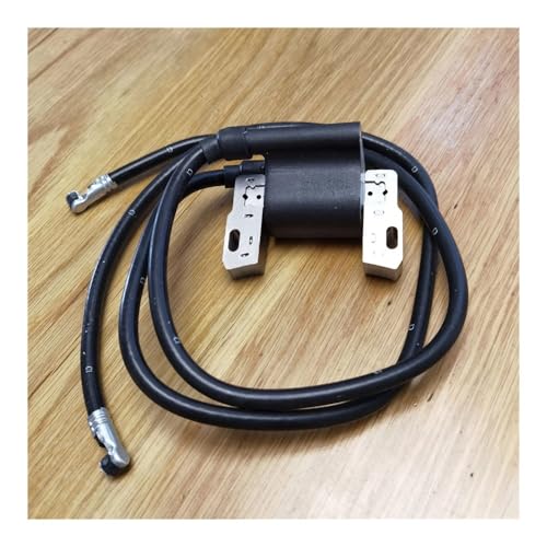 Bobine d'allumage haute performance compatible avec pièces 590781 et 394895