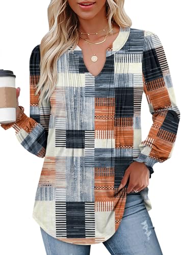 BETTE BOUTIK Long Sleeve Shirts for Women Fall Tops Dressy Blouses Pleated V Neck Tunic Tops for Leggings S-3XL