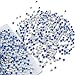Queenme 2880pcs SS10 Clear Hotfix Rhinestones Flatback Crystals for Clothes Shoes Crafts Hot Fix Round Glass Gems Stones Flat Back Iron on Rhinestones for Clothing 10SS