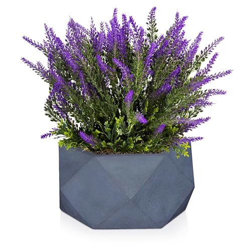 IDEALIST 10 Inch Faceted Grey Reinforced Stone Bowl Planter | Large Bonsai Pot | Succulent Plant Pot D26 H15 cm, 7 litres