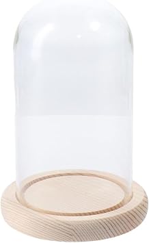 Clear Cloche Glass Dome,Glass Bell Shape Dome Tabletop Centerpiece with Wooden Base,Easy to Use,Practical Bell Jar Display Case Jar for Flower Storage Home Decor6.3x3.1Inch