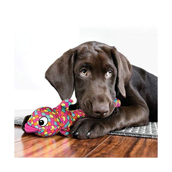 Kong Company 38780181: Wubba Finz Dog Toy, Blue Sm Kong Company 38780181: Wubba Finz Dog Toy, Blue Sm