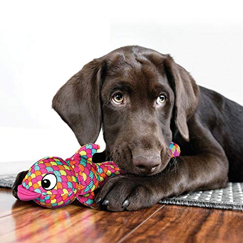 KONG Wubba Finz - Dog Toy for Tug of War & Fetch - Dog Supplies for Puppy & Dog Playtime - Outdoor & Indoor Dog Toy (Pink, Small) by KONG - Used condition - Image 2