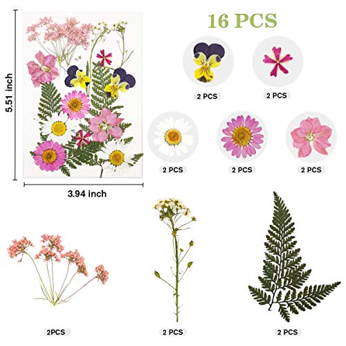 image for XUXU Real Dried Pressed Flowers Leaves Petals for Crafts, Colorful Pre