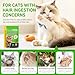 Hairball Treatment for Cats, Hairball Remedy Treats Chews, Cat Furball Treatment, Prevent Hairballs for Indoor Cats, Supports Skin & Coat, Vitamins for Digestion, Chicken Flavor (60 Day Supply)