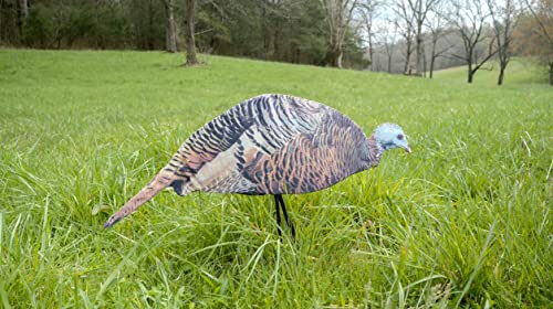 MONTANA DECOY Dinner Belle Hen Decoy, Model:0043 , Black - Thumbnail 5
