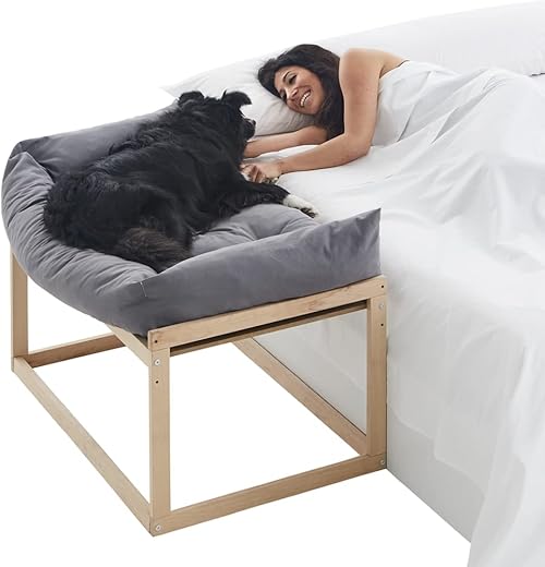 COOL · DREAMS Letto rialzato per cani e gatti antistress, adatto per...