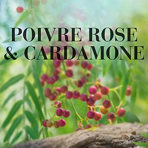 Airwick Air Freshener XL Candle Pink Pepper & Cardamom, Up to 85 Hours Burn Time - Image 2