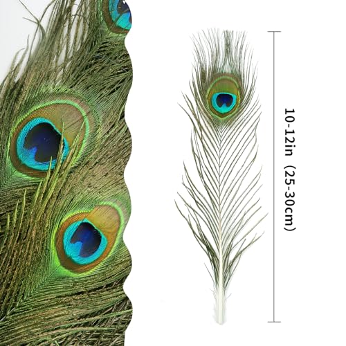 image for iHUFeather 10PCS Real Natural Peacock Eye Feathers 10-12 inch for DIY 