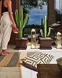 Blim B00Z9A1A3C lato 4