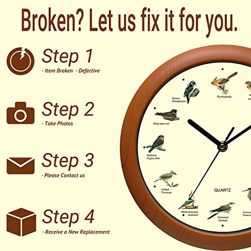 Belinlen Singing Bird Wall Clock 12 Inch Of The Bird Names And Songs #TOP6