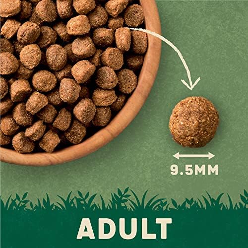 Harringtons Complete Dry Adult Dog Food Lamb & Rice 15kg - Made with All Natural Ingredients (Packaging may vary) - View 5