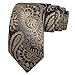 Barry.Wang Champagne Grey Tie for Men Paisley Silk Necktie Pocket Square Cufflinks Set Formal Wedding Party Business