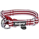 Blueberry Pet Safety Dog Collar with Dual D-Rings | 3M Reflective Multi-Colored Adjustable Collar in Marsala Red and Pink | Soft Nylon Dog Collar for Active Large Dogs