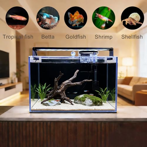 3.2 Gallon Fish Tank, Nano Nature Aquarium Kit,Small Aquarium Starter Kit,Ultra-Clear Rimless Desktop Small Aquarium with Filter and Light for Betta,Shrimp,Goldfish.Black Glass - Image 5