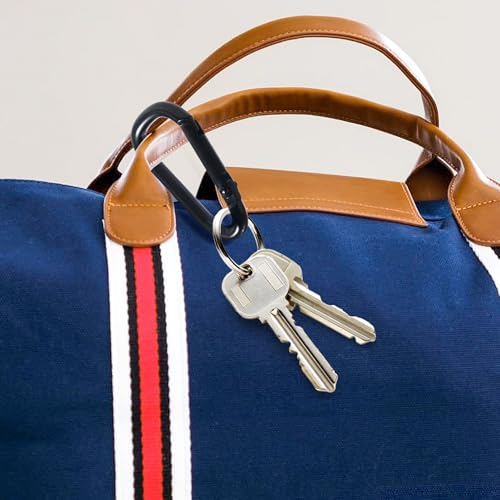 12 Stück Karabinerhaken Klein, Geeignet für Rucksäcke, Gürtel usw Mini Karabiner, Eisen Kleine Karabiner, Aluminiumlegierung, Schwarz