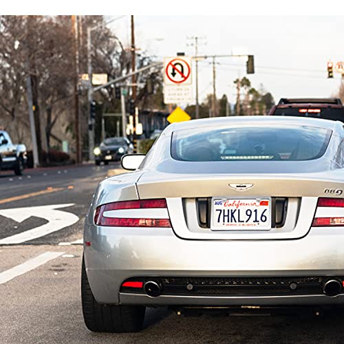 Limsas License Plate Frames, 2Pcs License Plate Holders With Coasters Universal Chrome Thin Stainless Steel Rust-Proof Car Plate Cover 2 Hole License Plate Covers Included Screw Accessories - Silver #TOP5