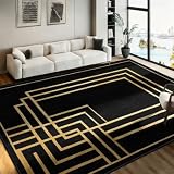 SOJAWA Art Deco Geometric Area Rug 3x5ft, Black and Gold Lines Carpet