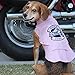Biker Dawg Motorcycle Dog Jacket (Medium, Pink)