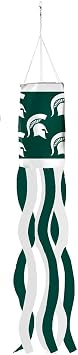 Michigan State University Windsock