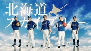 日本ハム ファイターズ 王柏融 ワンボーロン ユニフォーム Amazon.co.jp: ワン ボーロン 王柏融 ユニフォーム M 北海道