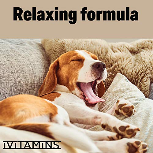 Ivitamins Hemp Oil For Pets, Dogs, Cats : 4 Fl Oz : May Help With Separation, Inflammation, Joints, Hips, And More : Hemp Extract : Easily Apply To Treats (1,000Mg) #TOP4