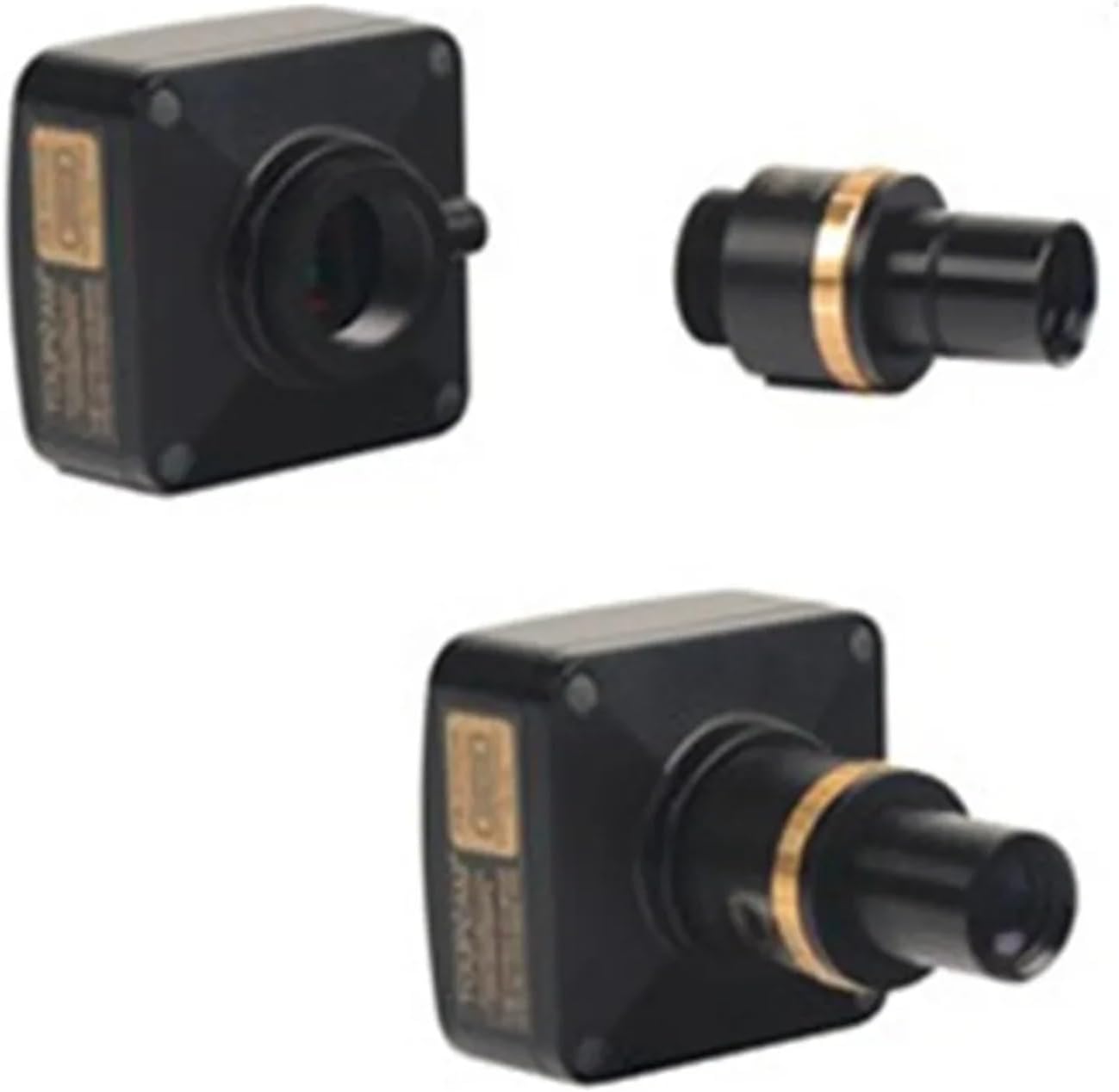 D H Chiparus, ル・スクレ（Le Secret） Secret Love Song (feat