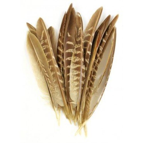 Veniard Plumas para atar moscas, plumas de faisán surtidas, 1 pieza, para moscas de pesca con mosca